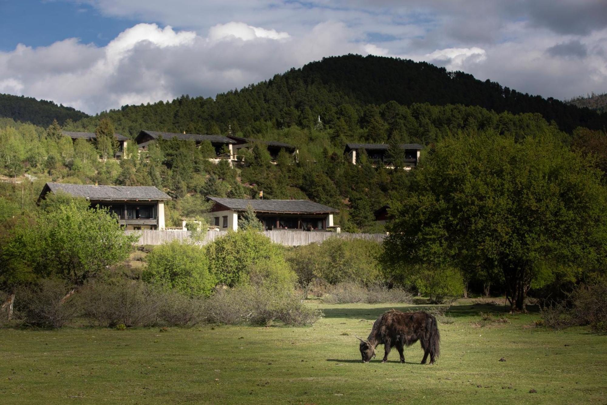 Hotel Banyan Tree Ringha Šangri-La Exteriér fotografie