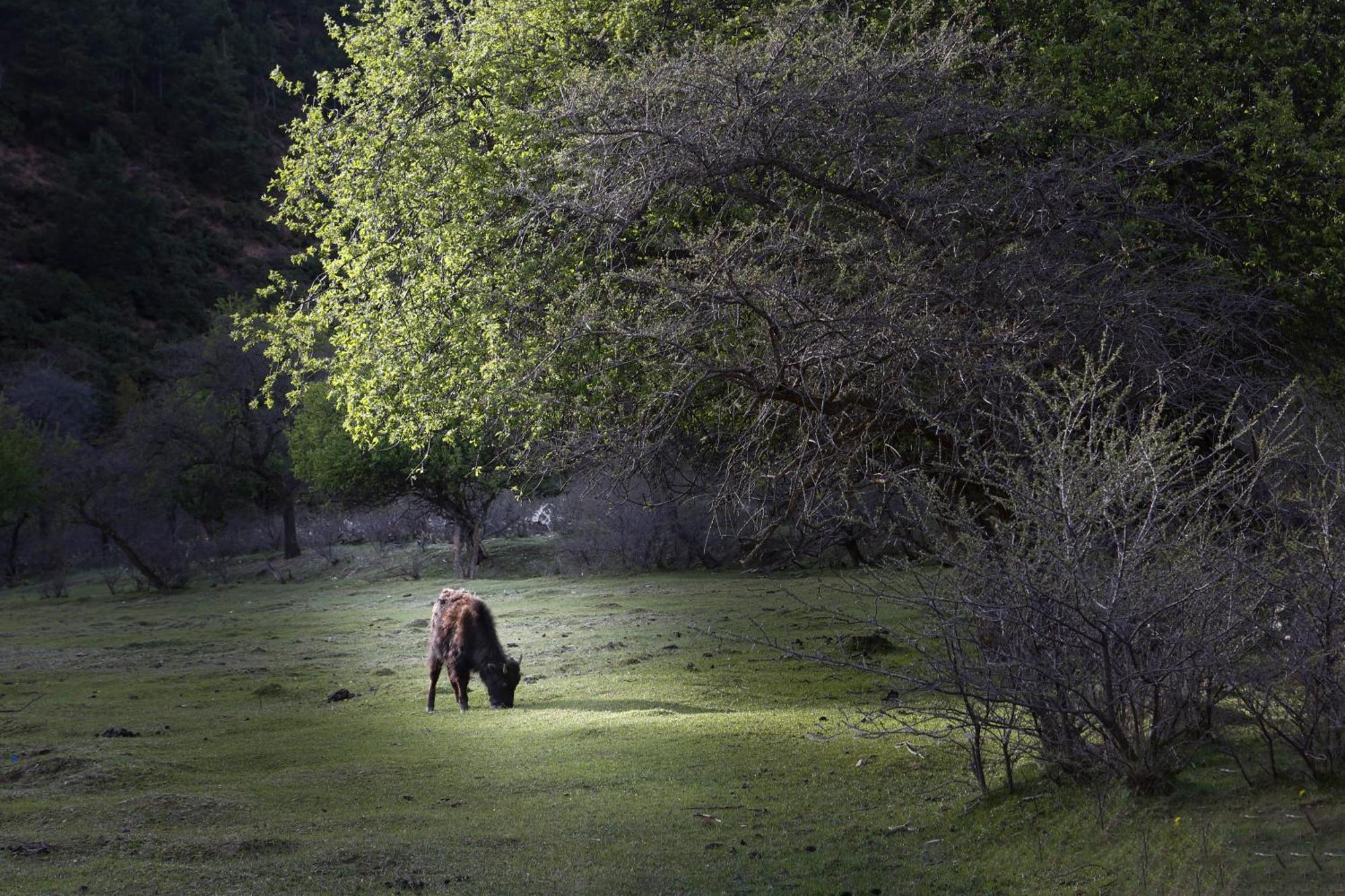 Hotel Banyan Tree Ringha Šangri-La Exteriér fotografie