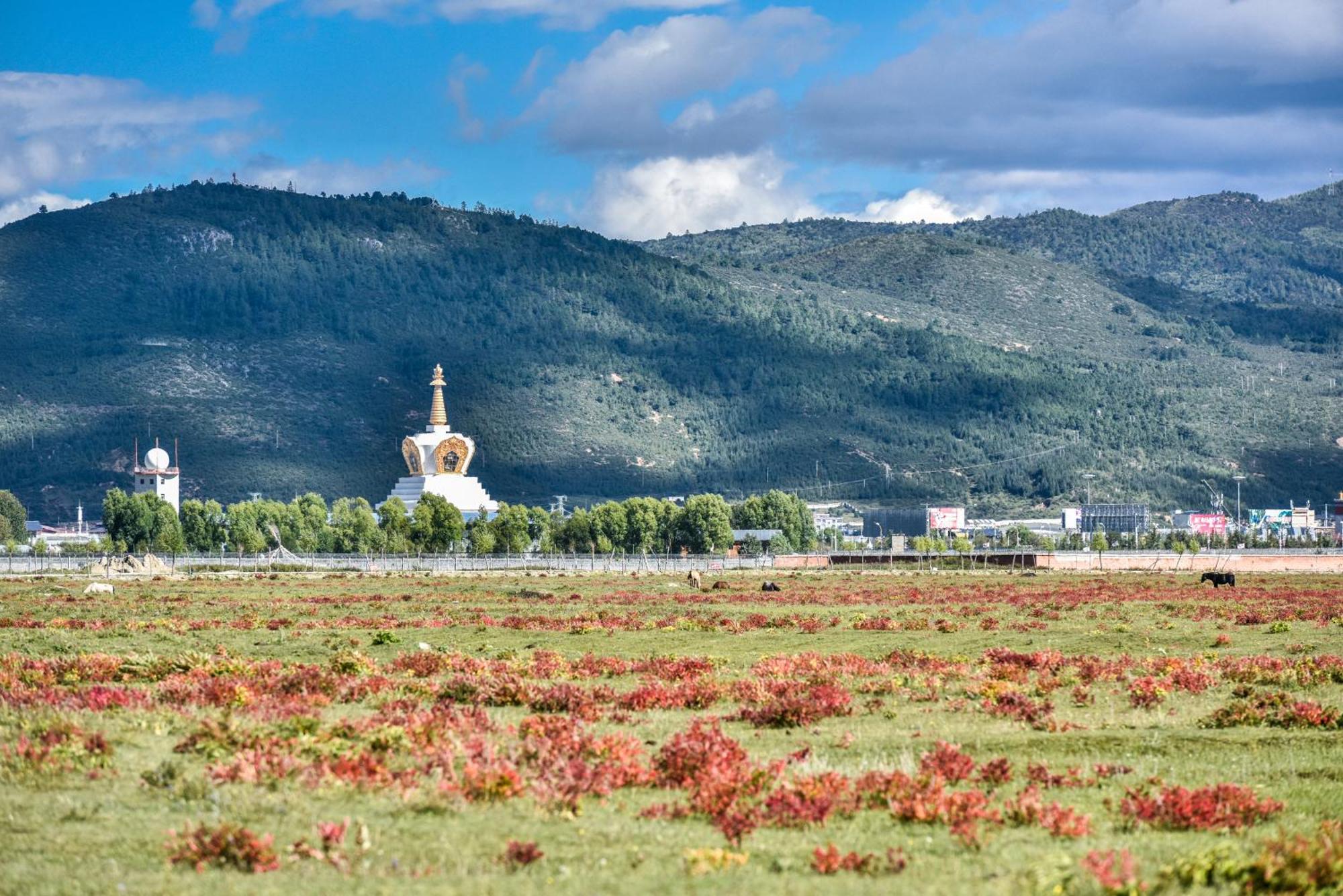 Hotel Banyan Tree Ringha Šangri-La Exteriér fotografie